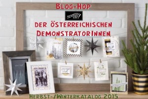 Banner bloghop HW 2015