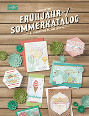 2017_fs_cover_de