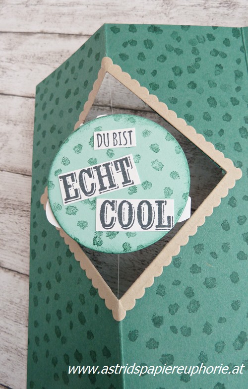 stampin-up-echt-cool-z-fold-spinner-card_3_201802