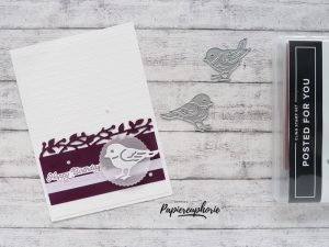 Mehr über den Artikel erfahren Geburtstagskarte Vögel und mehr