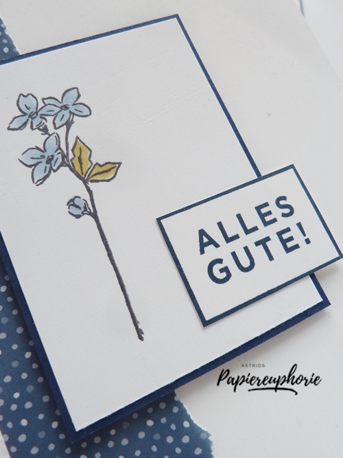 stampinup-glückwunsch-karte-birthdaycard-florale-jahreszeiten-astridspapiereuphorie-3_202007