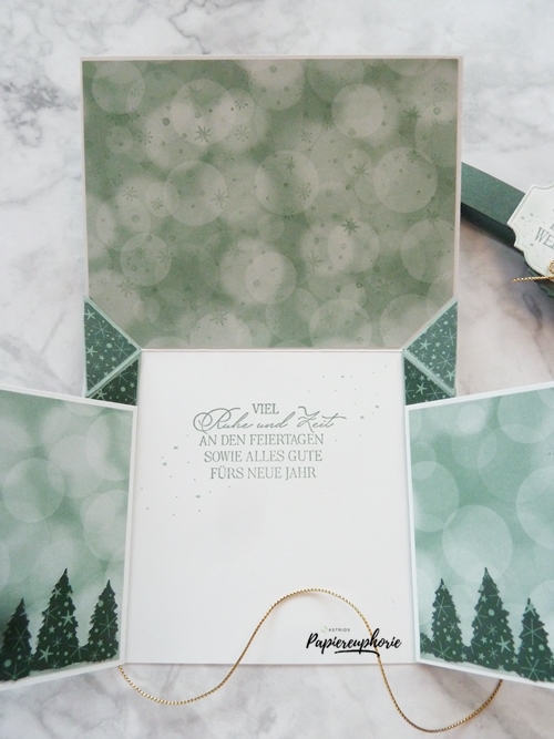 stampinup-dual-pop-up-card-fancy-folds-astridspapiereuphorie-5_2022211