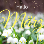 aktuelle Monatsangebote