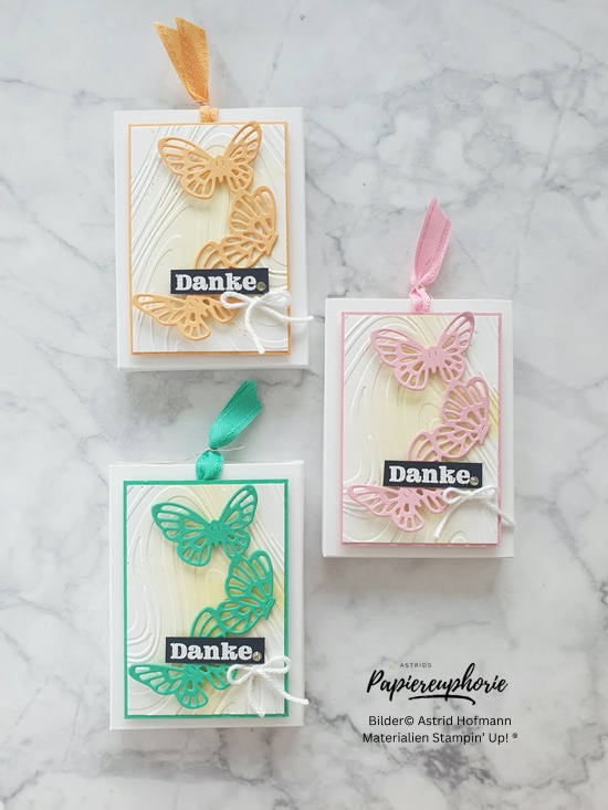 stampinup-stempelnd-durchs-jahr-06-2024_incolors_goodies_astridspapiereuphorie-3_202406