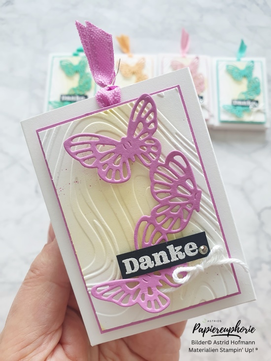 stampinup-stempelnd-durchs-jahr-06-2024_incolors_goodies_astridspapiereuphorie-4_202406