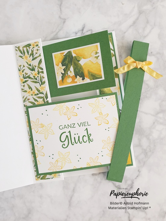 stampinup-stempelnd-durchs-jahr-08-2024-geburtstagskarte-astridspapiereuphorie-3_202408.