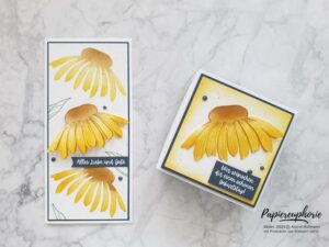 Mehr über den Artikel erfahren New at SU Happy Birthday