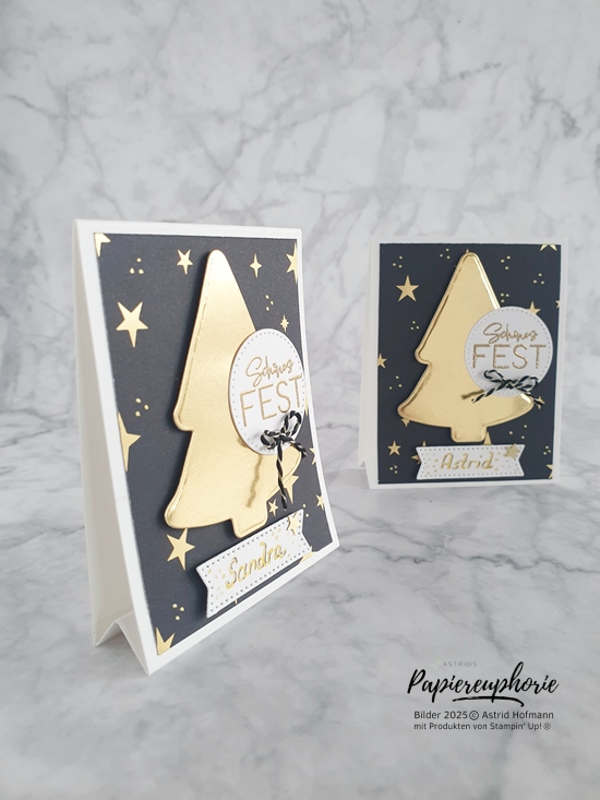 stampinup-stempelnd-durchs-jahr-12-2025-elegante-tischkarten_4_astridspapiereuphorie_202512