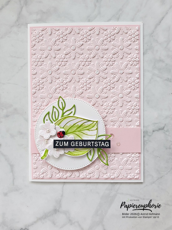 stampinup-newatsu-two-tone-geburtstagskarte-astridspapiereuphorie-2_202606