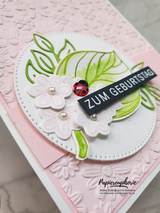 stampinup-newatsu-two-tone-geburtstagskarte-astridspapiereuphorie-4_202606
