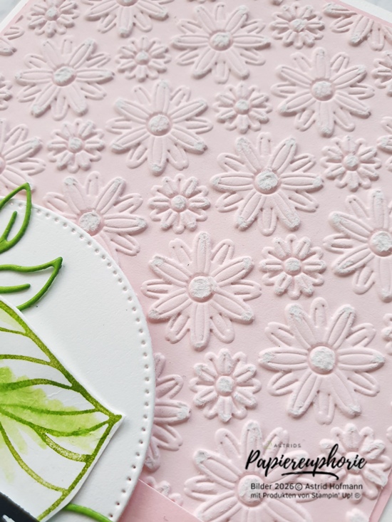 stampinup-newatsu-two-tone-geburtstagskarte-astridspapiereuphorie-5_202606